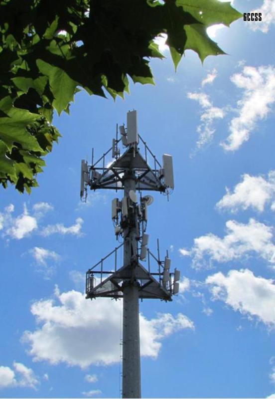 cell-tower_tower-tree